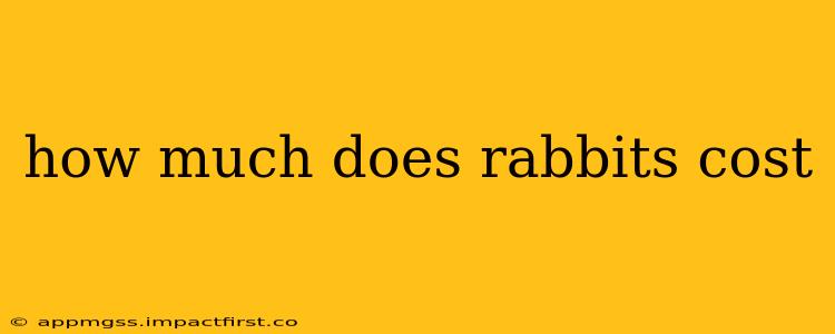 how much does rabbits cost