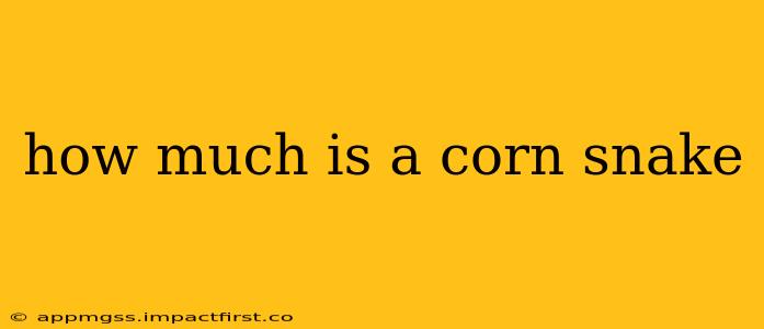 how much is a corn snake