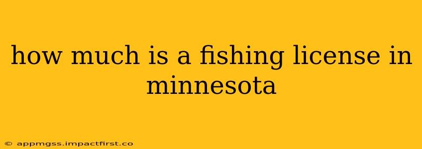how much is a fishing license in minnesota
