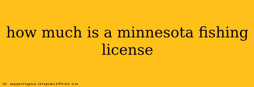 how much is a minnesota fishing license