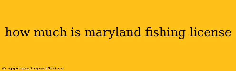 how much is maryland fishing license