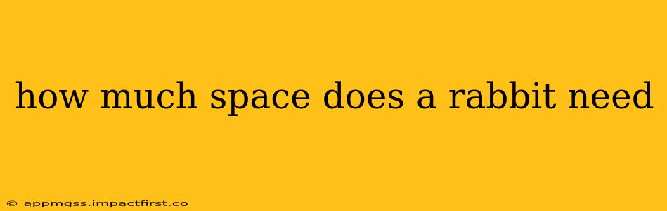 how much space does a rabbit need