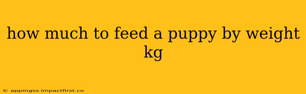 how much to feed a puppy by weight kg