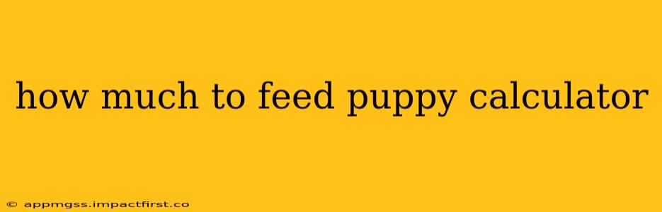 how much to feed puppy calculator