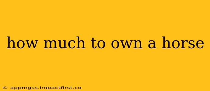 how much to own a horse