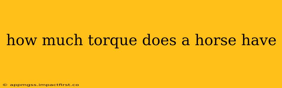 how much torque does a horse have