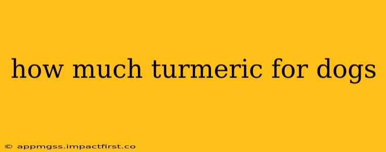how much turmeric for dogs