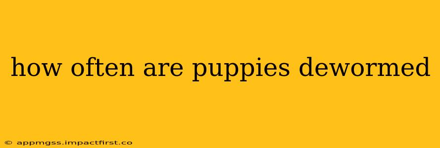 how often are puppies dewormed