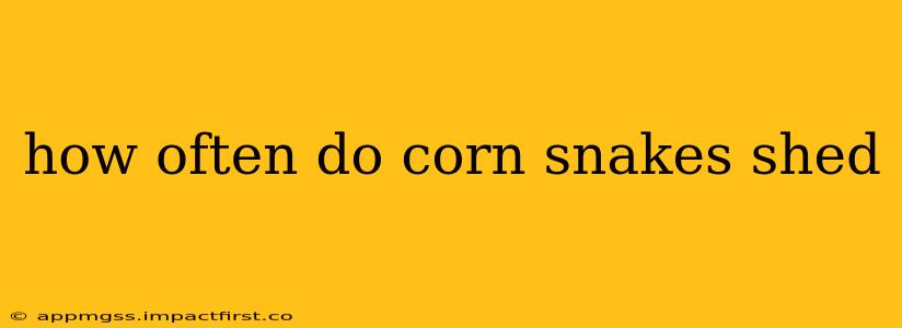 how often do corn snakes shed