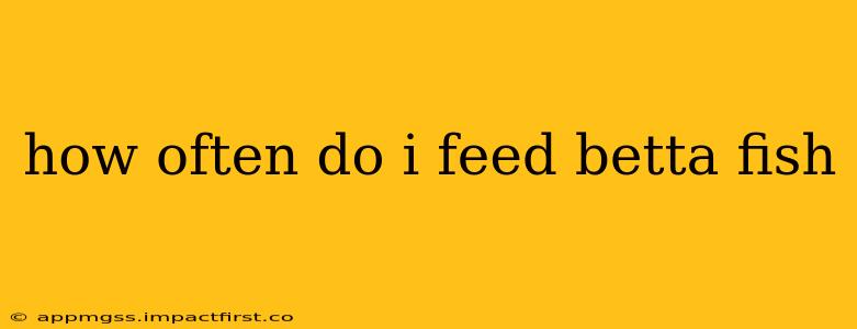 how often do i feed betta fish