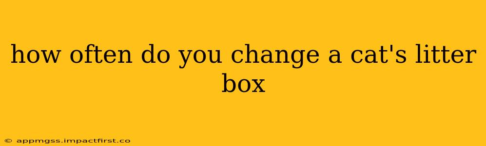 how often do you change a cat's litter box