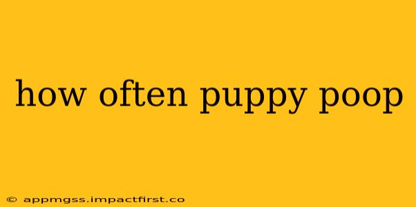 how often puppy poop