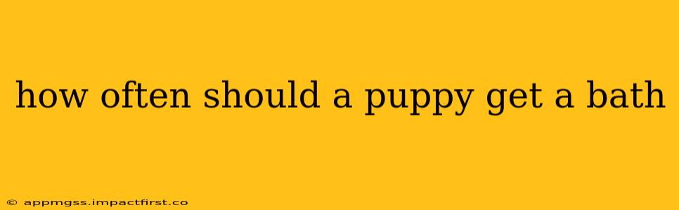 how often should a puppy get a bath