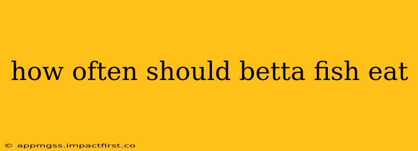 how often should betta fish eat