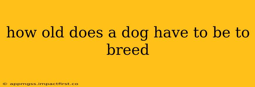 how old does a dog have to be to breed