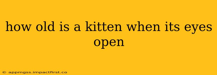 how old is a kitten when its eyes open