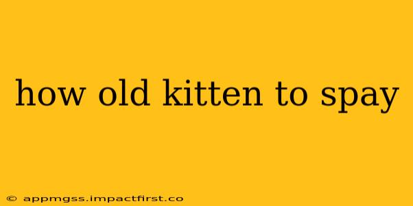 how old kitten to spay