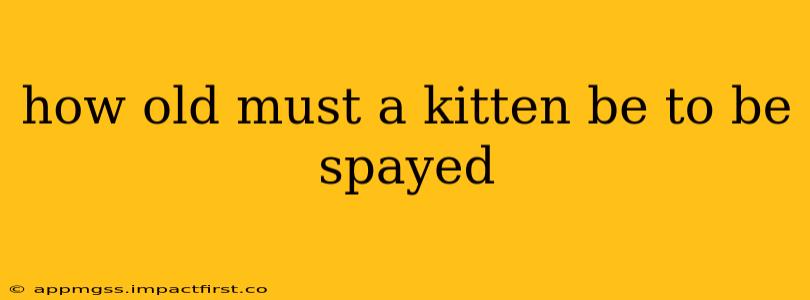 how old must a kitten be to be spayed