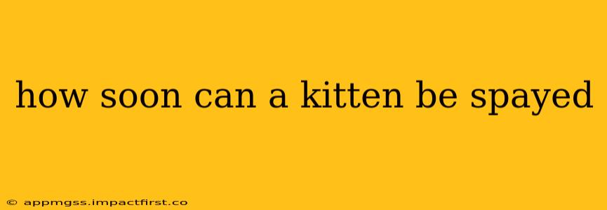 how soon can a kitten be spayed