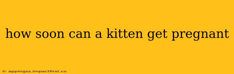 how soon can a kitten get pregnant
