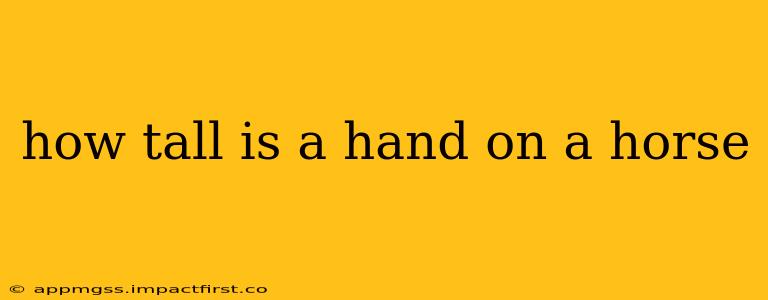 how tall is a hand on a horse