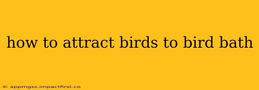 how to attract birds to bird bath