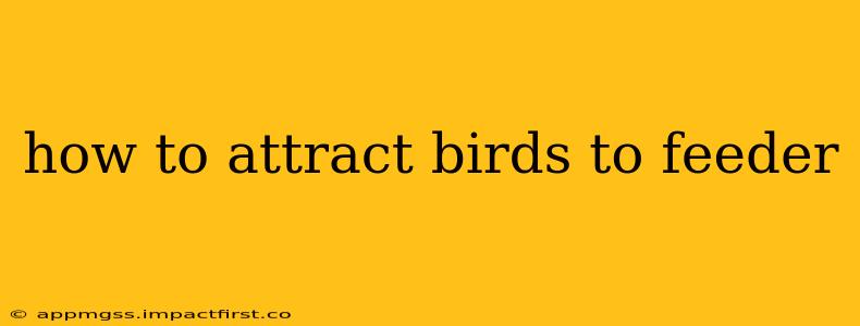 how to attract birds to feeder