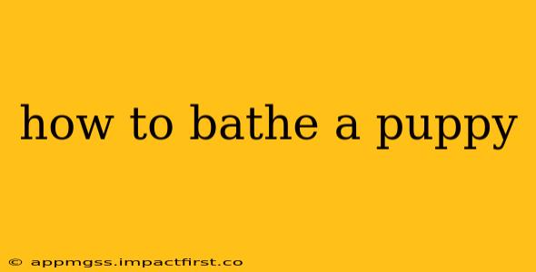 how to bathe a puppy