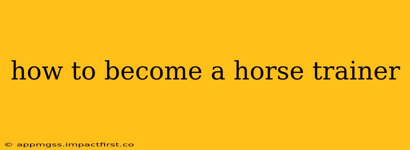 how to become a horse trainer