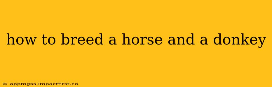 how to breed a horse and a donkey