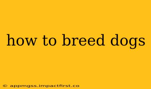 how to breed dogs