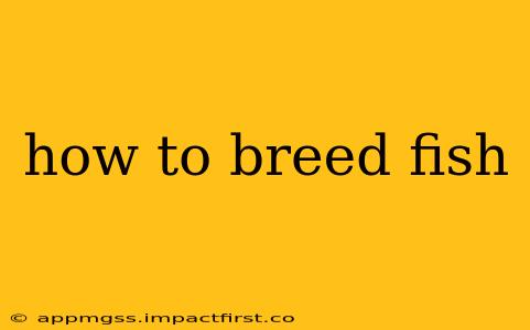 how to breed fish