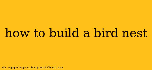 how to build a bird nest