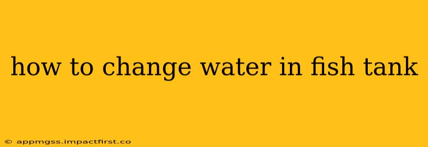 how to change water in fish tank