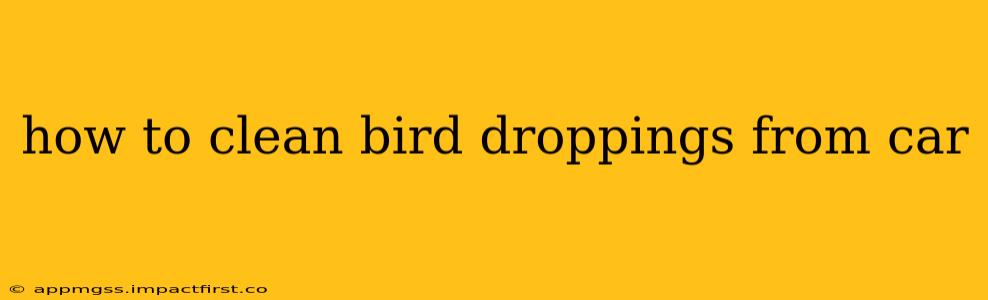 how to clean bird droppings from car