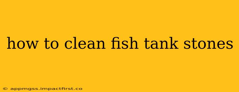 how to clean fish tank stones