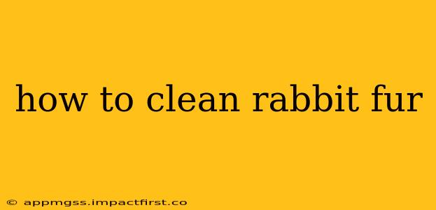 how to clean rabbit fur