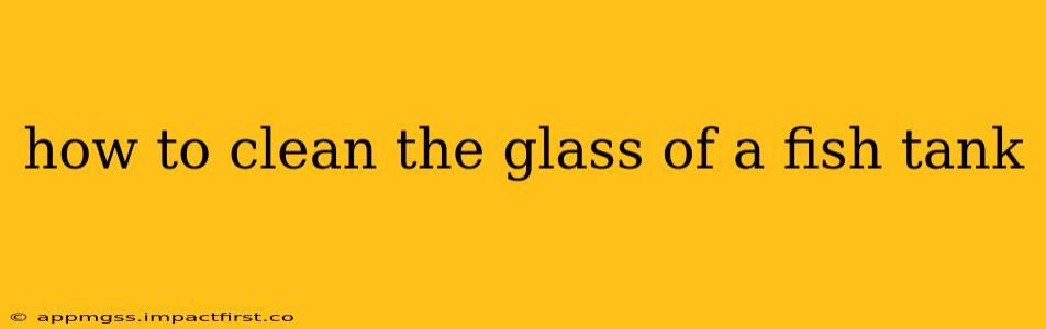 how to clean the glass of a fish tank