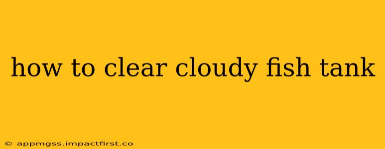 how to clear cloudy fish tank