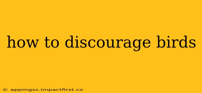 how to discourage birds