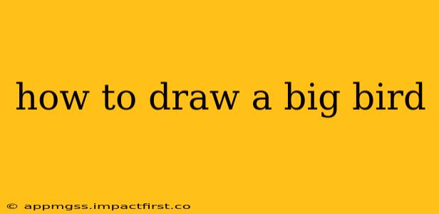 how to draw a big bird