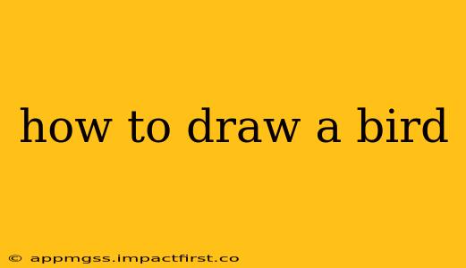 how to draw a bird