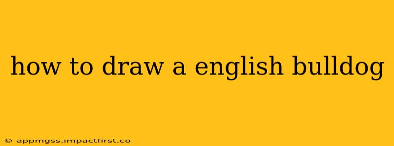 how to draw a english bulldog