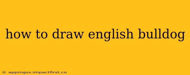 how to draw english bulldog