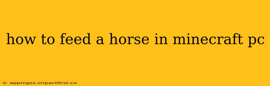 how to feed a horse in minecraft pc