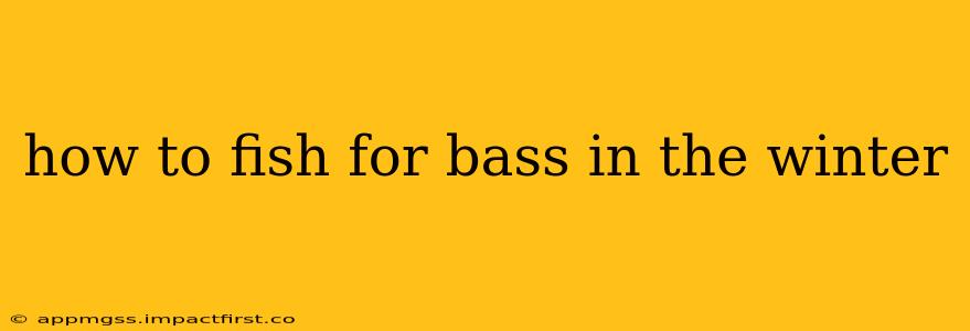 how to fish for bass in the winter