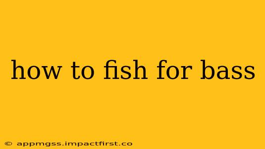 how to fish for bass