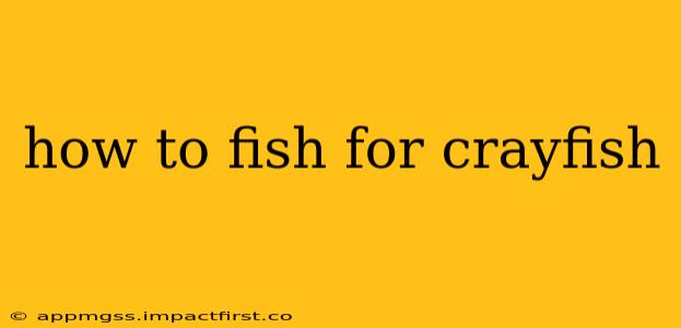 how to fish for crayfish