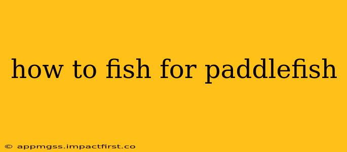 how to fish for paddlefish