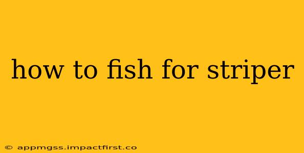 how to fish for striper
